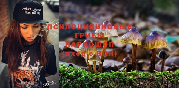 PSILOCYBIN Надым