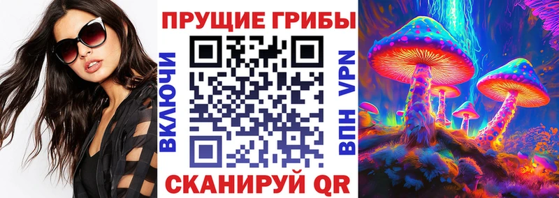 магазин продажи наркотиков  Котельники  Псилоцибиновые грибы MAGIC MUSHROOMS 