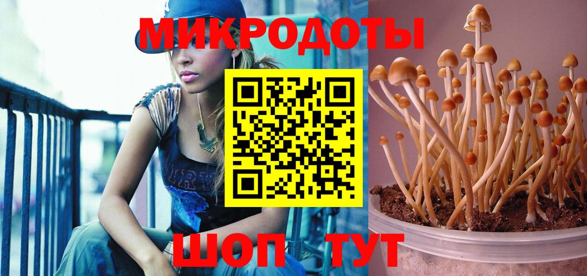 Галлюциногенные грибы GOLDEN TEACHER Котельники