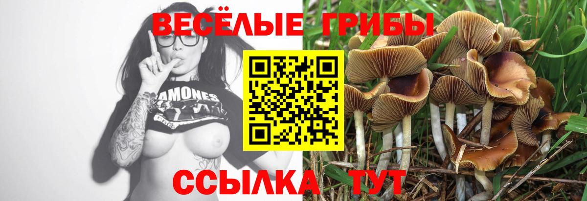 Галлюциногенные грибы MAGIC MUSHROOMS  Вход с VPN  Котельники  Галлюциногенные грибы MAGIC MUSHROOMS 