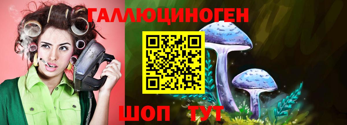 Псилоцибиновые грибы ЛСД  Котельники 